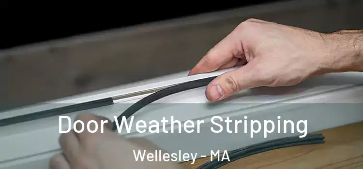 Door Weather Stripping Wellesley - MA