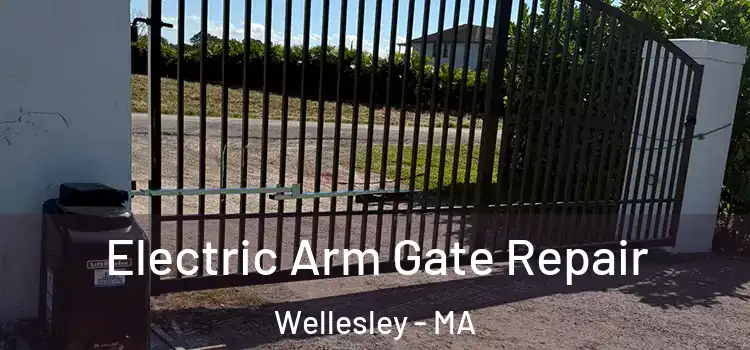 Electric Arm Gate Repair Wellesley - MA