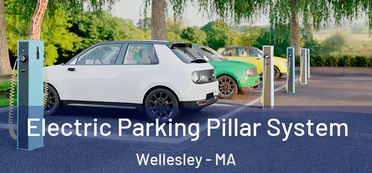  Electric Parking Pillar System Wellesley - MA