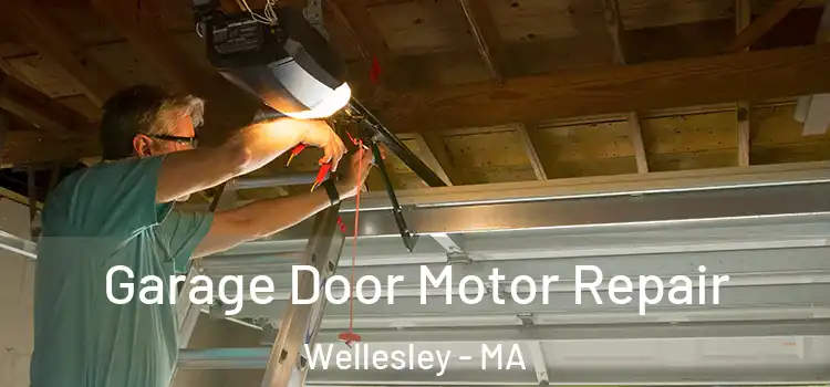  Garage Door Motor Repair Wellesley - MA