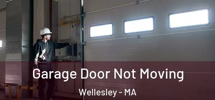  Garage Door Not Moving Wellesley - MA