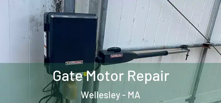 Gate Motor Repair Wellesley - MA