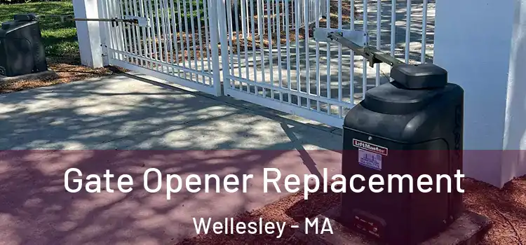 Gate Opener Replacement Wellesley - MA