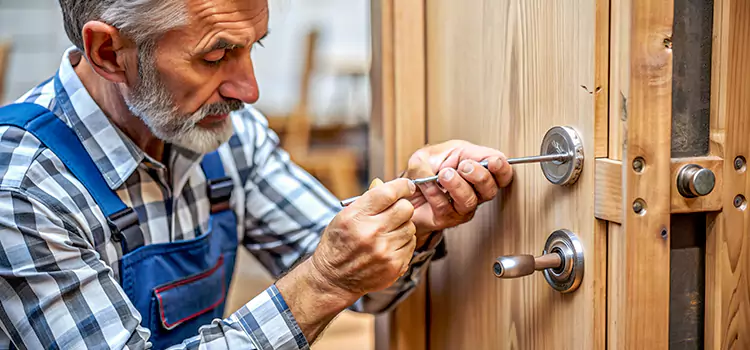 Mortise Replacement Lock Wellesley
