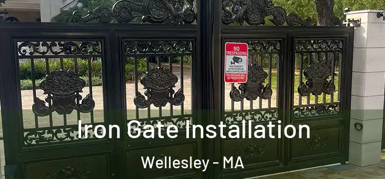 Iron Gate Installation Wellesley - MA