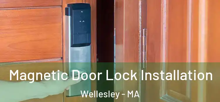  Magnetic Door Lock Installation Wellesley - MA