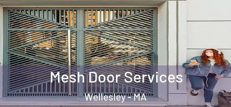 Mesh Door Services Wellesley - MA