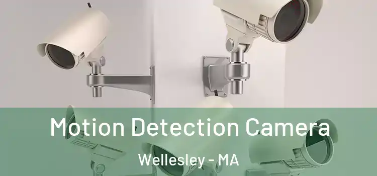  Motion Detection Camera Wellesley - MA