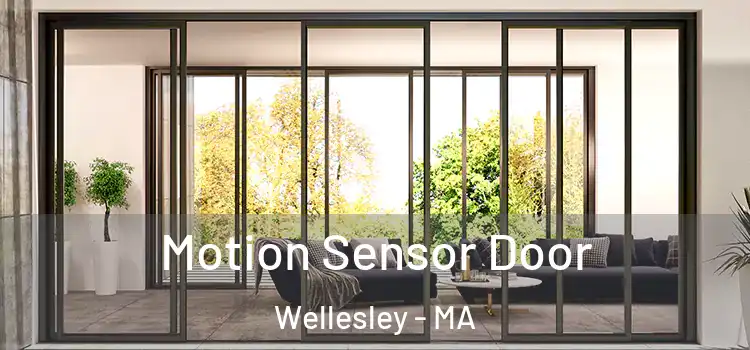 Motion Sensor Door Wellesley - MA