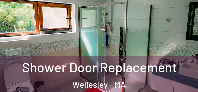 Shower Door Replacement Wellesley - MA