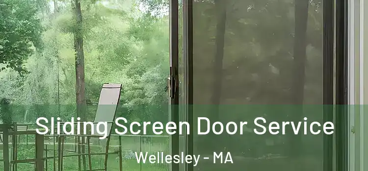 Sliding Screen Door Service Wellesley - MA